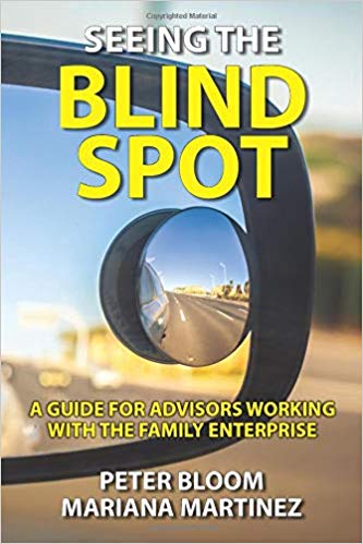 Seeing the Blind Spot book cover