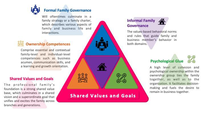 Figure 1: The Business Family Professionalization Framework