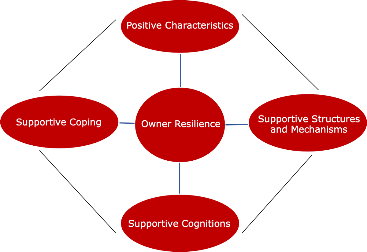 key resilience determinants