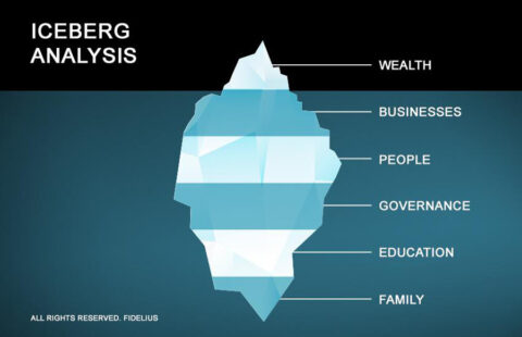 Iceberg Analysis of Family Systems