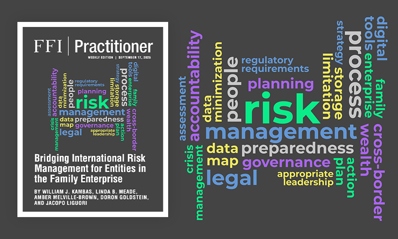 Bridging International Risk Management for Entities in the Family ...